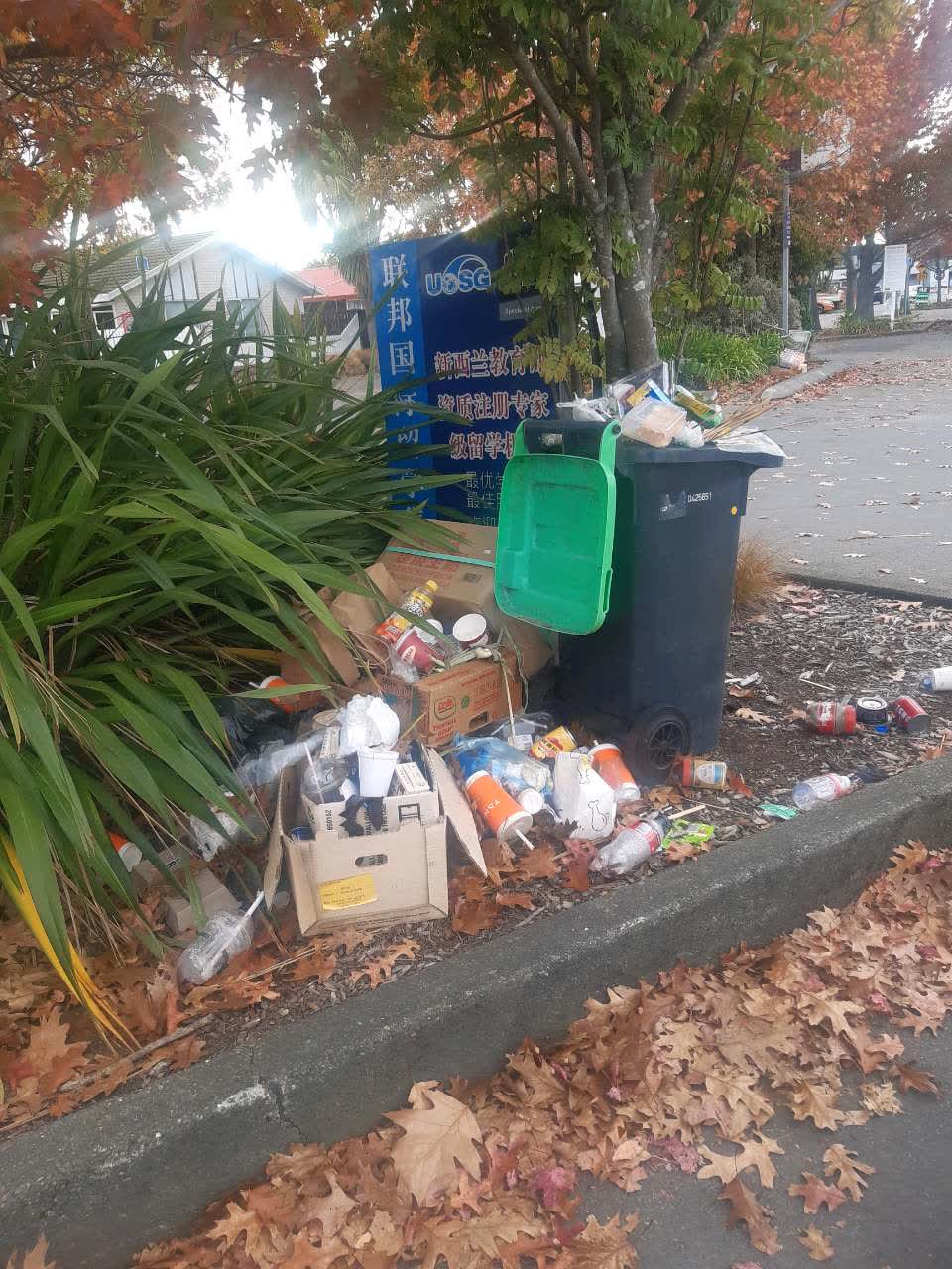 The photograph attached to this rubbish/recycling report