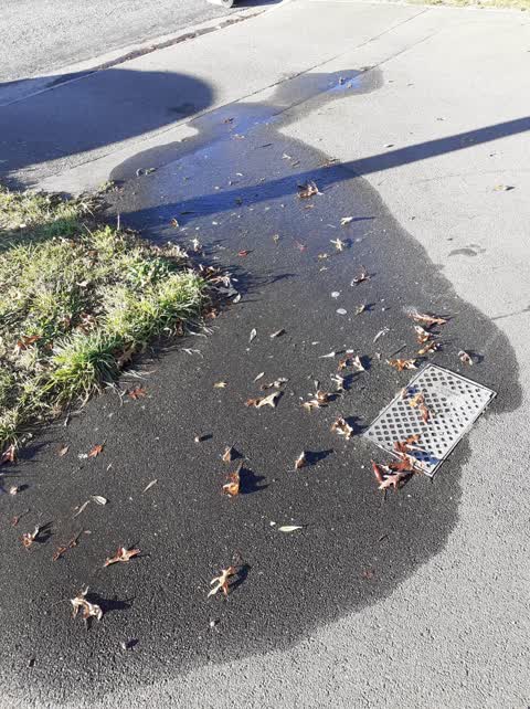 Water Leak, a report photo