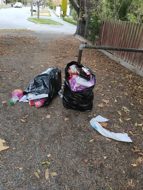 Rubbish/Recycling, a report photo