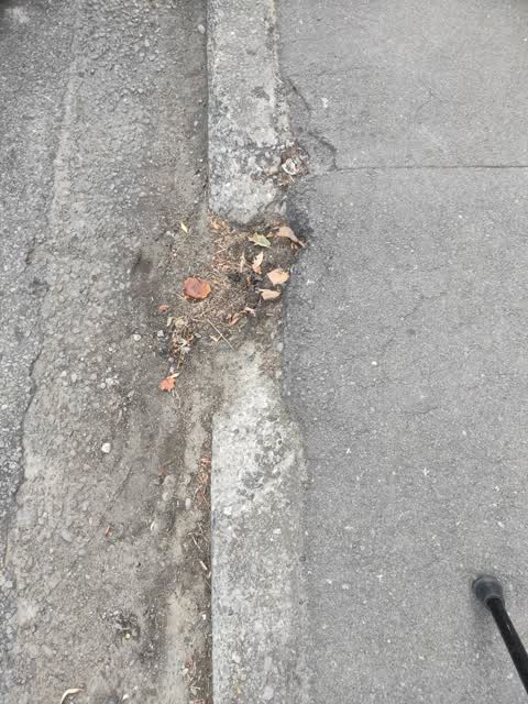 Roading/Streets, a report photo