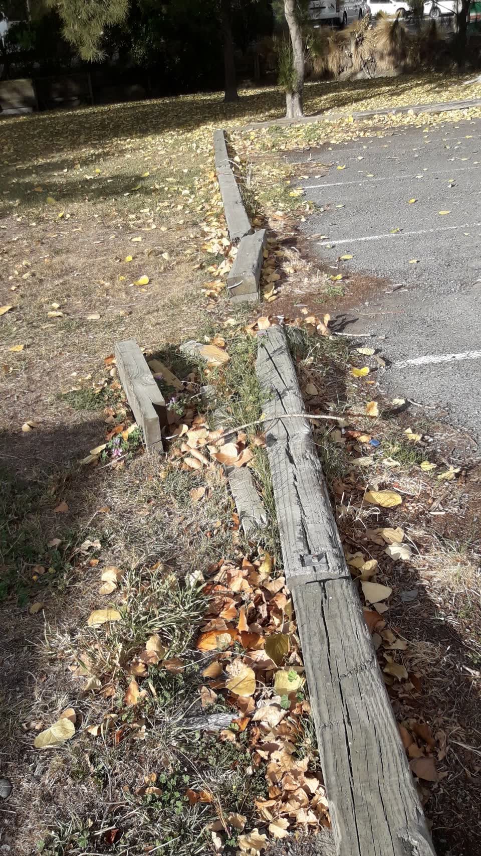 The photograph attached to this parks report