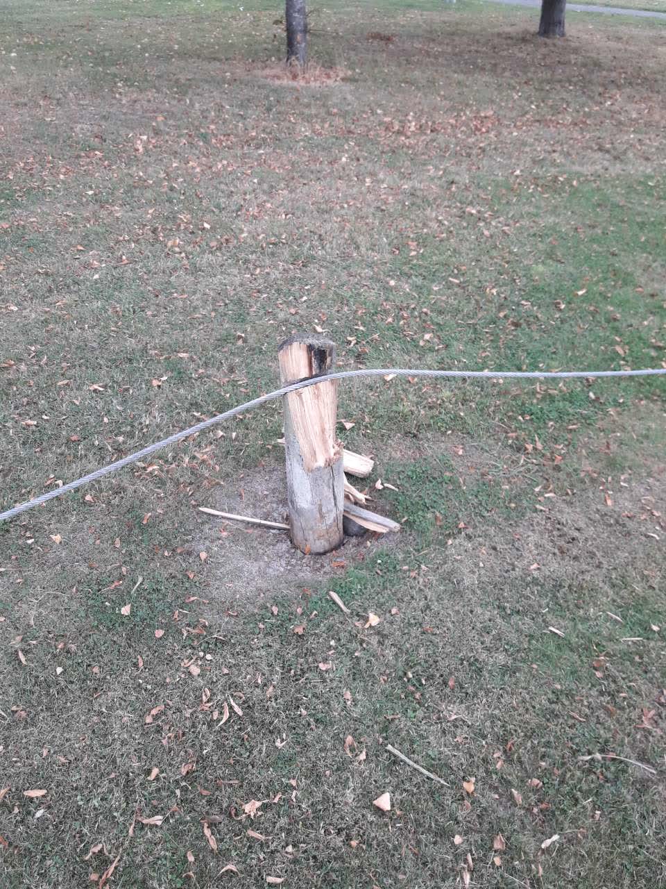 The photograph attached to this parks report