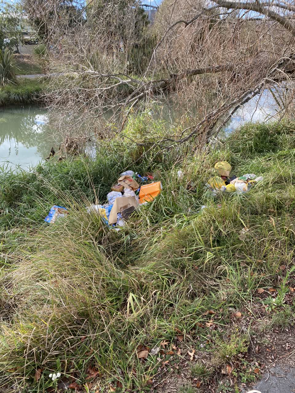 The photograph attached to this rubbish/recycling report