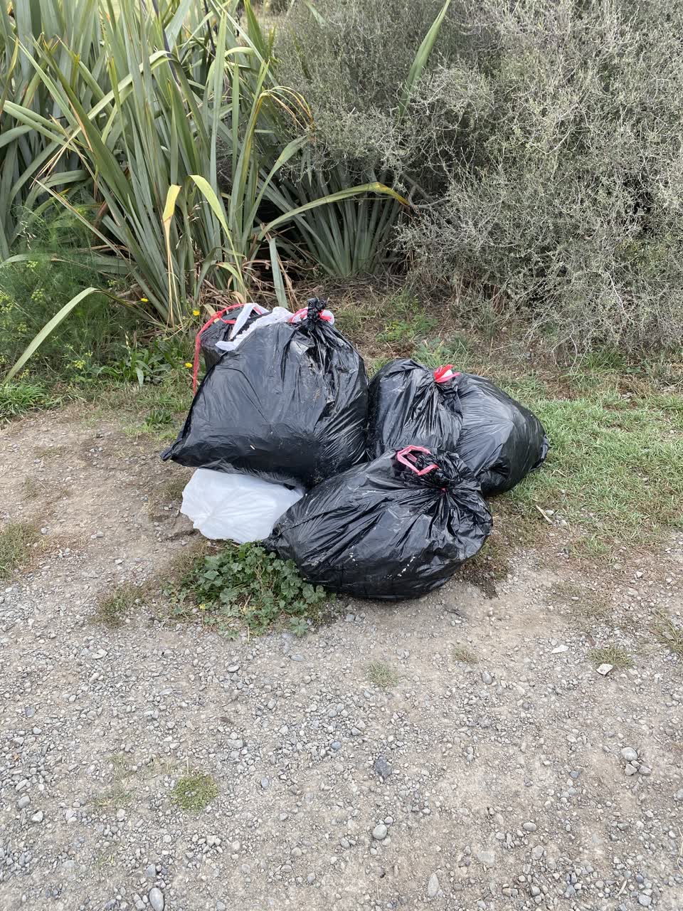 The photograph attached to this parks report