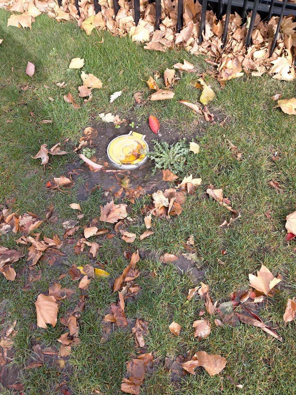 The photograph attached to this water leak report