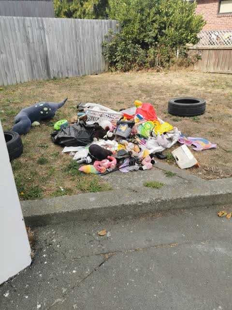 Roading/Streets, a report photo