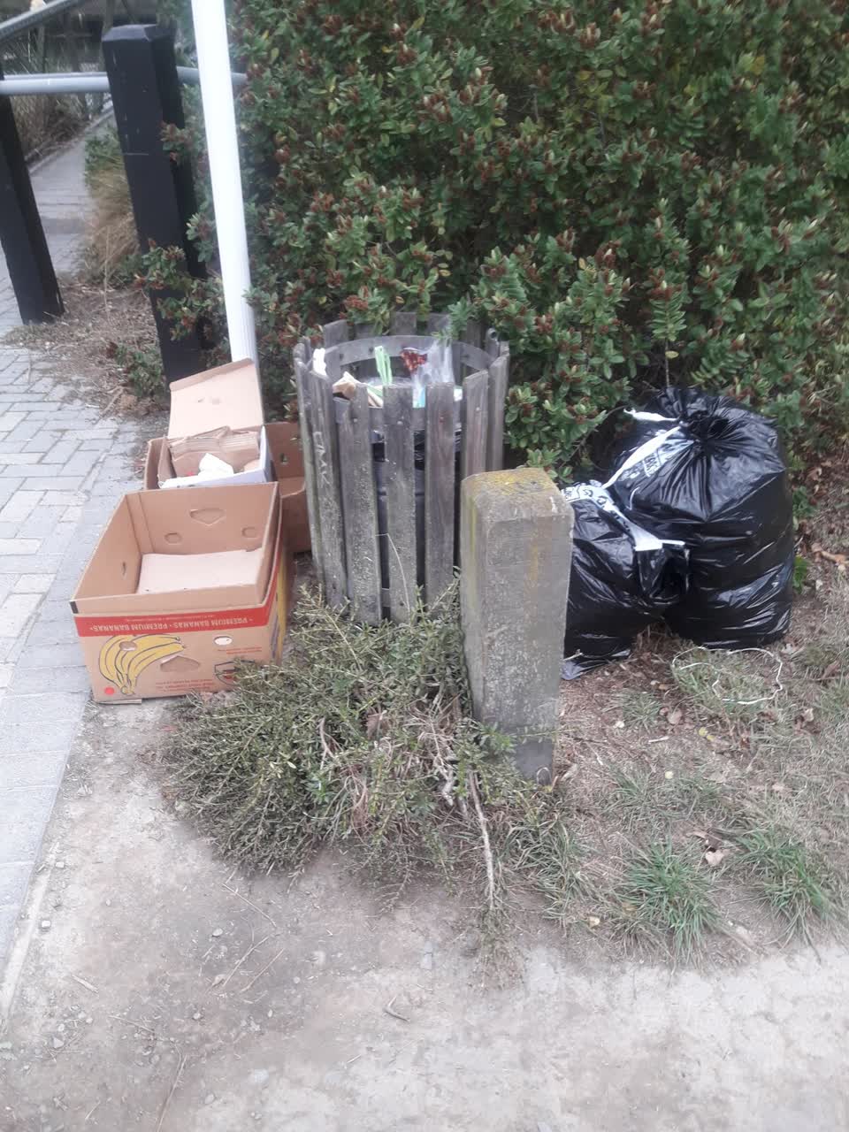 The photograph attached to this parks report