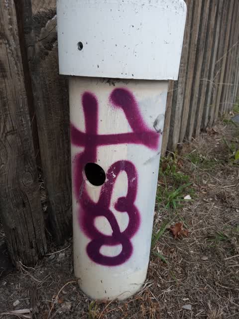 Graffiti, a report photo