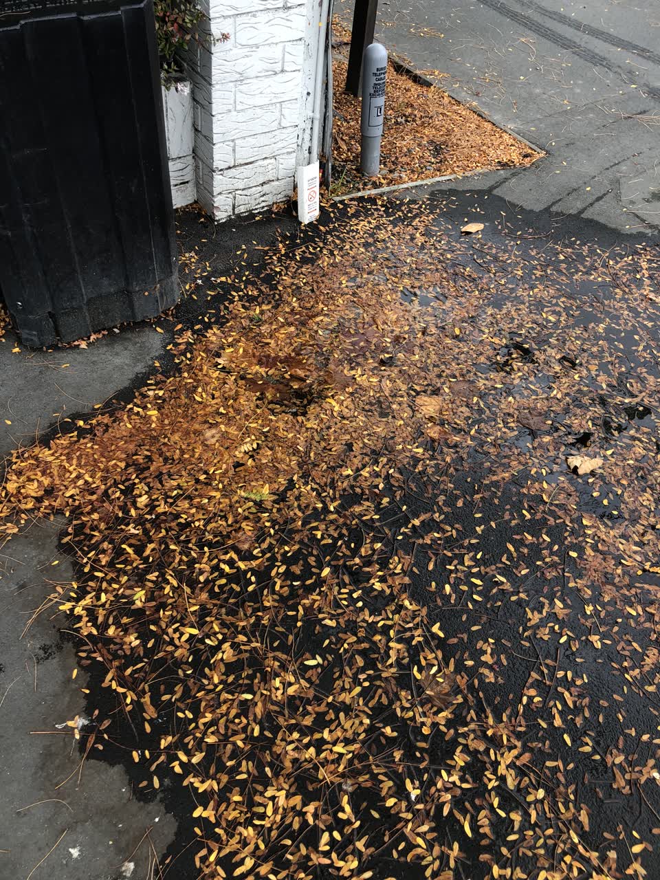 The photograph attached to this water leak report