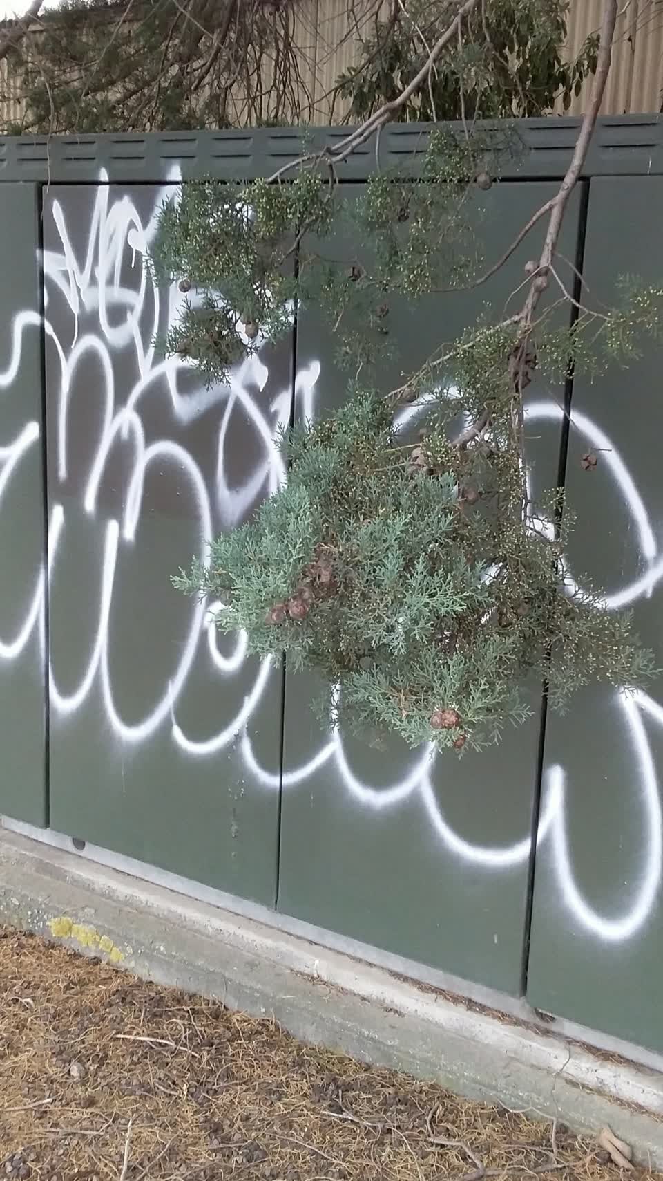 The photograph attached to this graffiti report