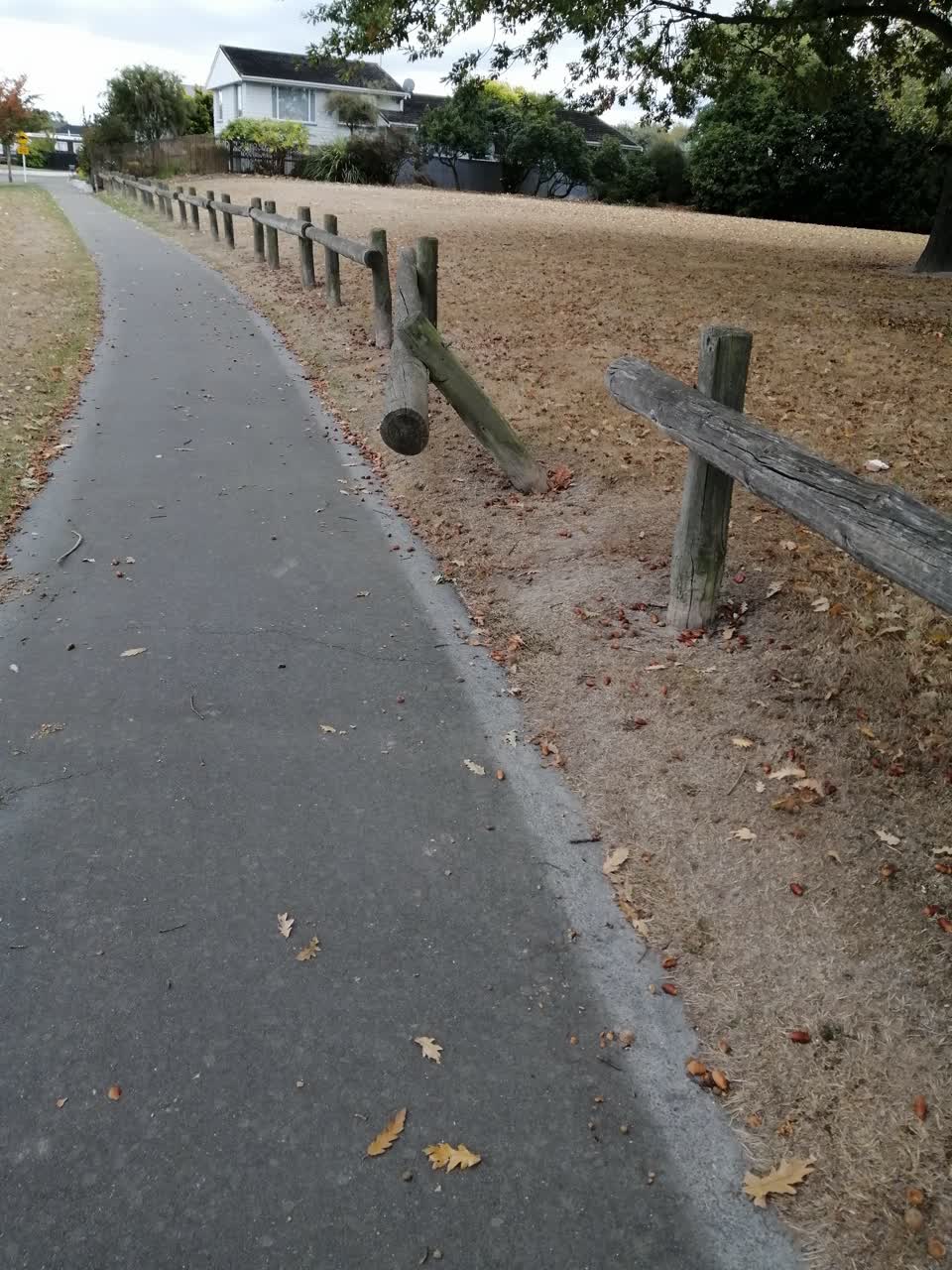 The photograph attached to this parks report