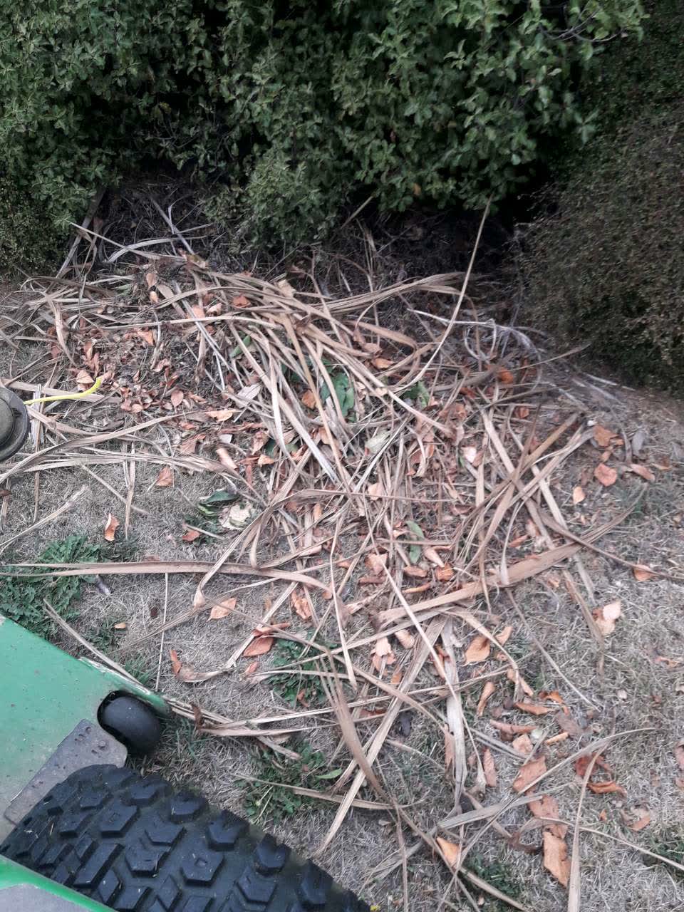 The photograph attached to this parks report