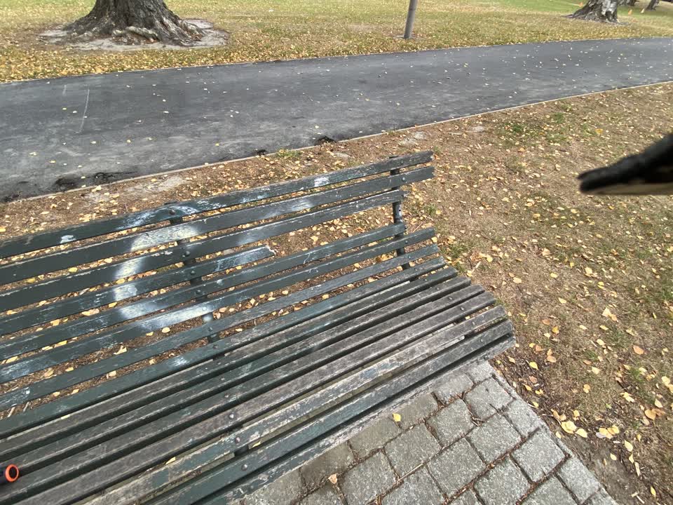 The photograph attached to this parks report