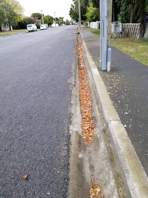 Roading/Streets, a report photo