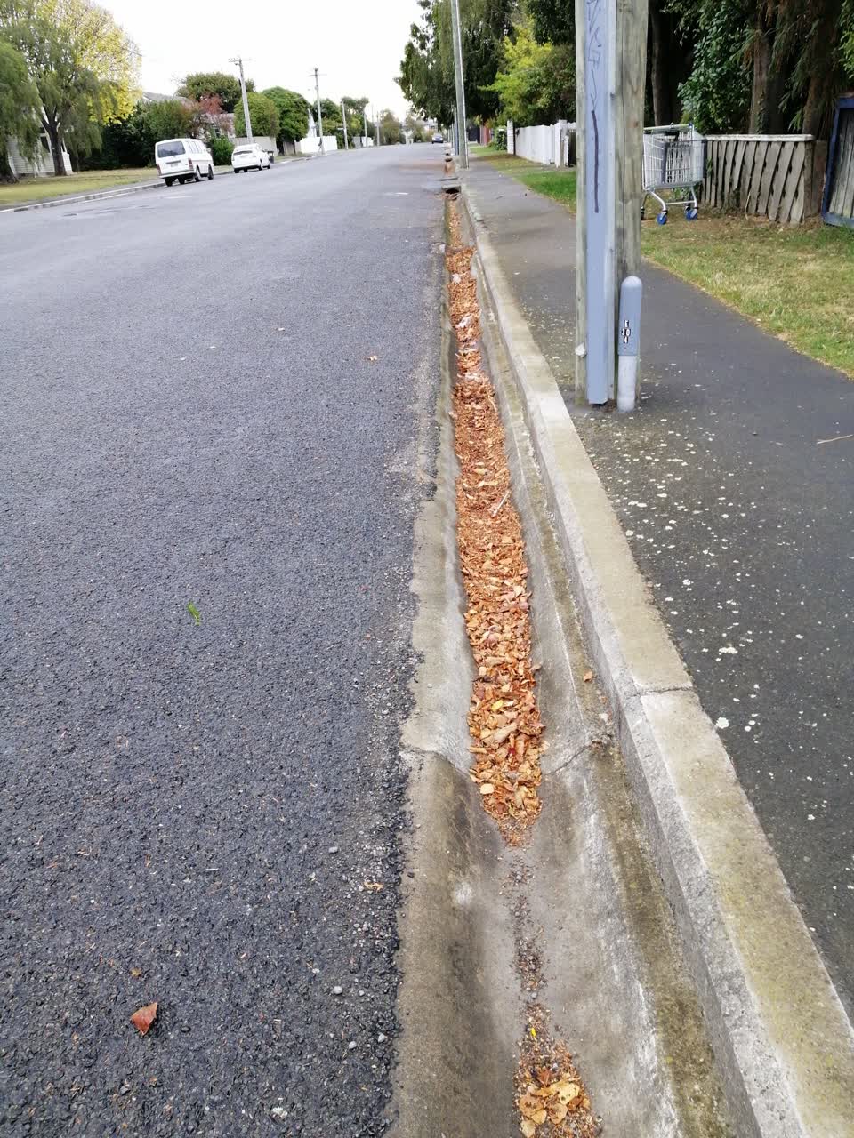 The photograph attached to this roading/streets report