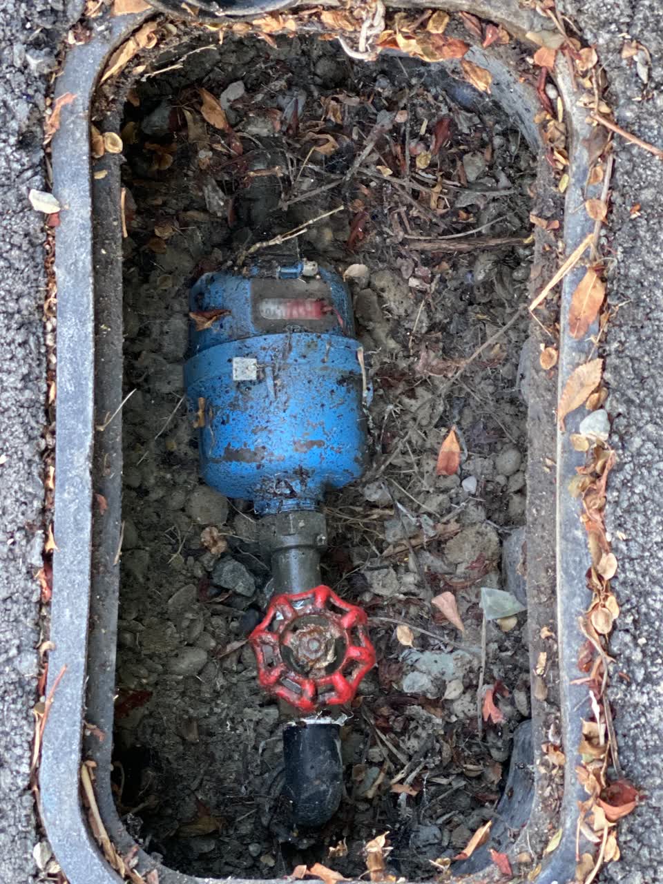 The photograph attached to this water supply report