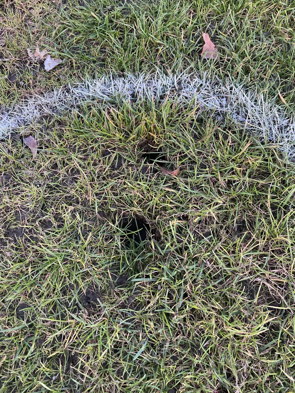 The photograph attached to this parks report