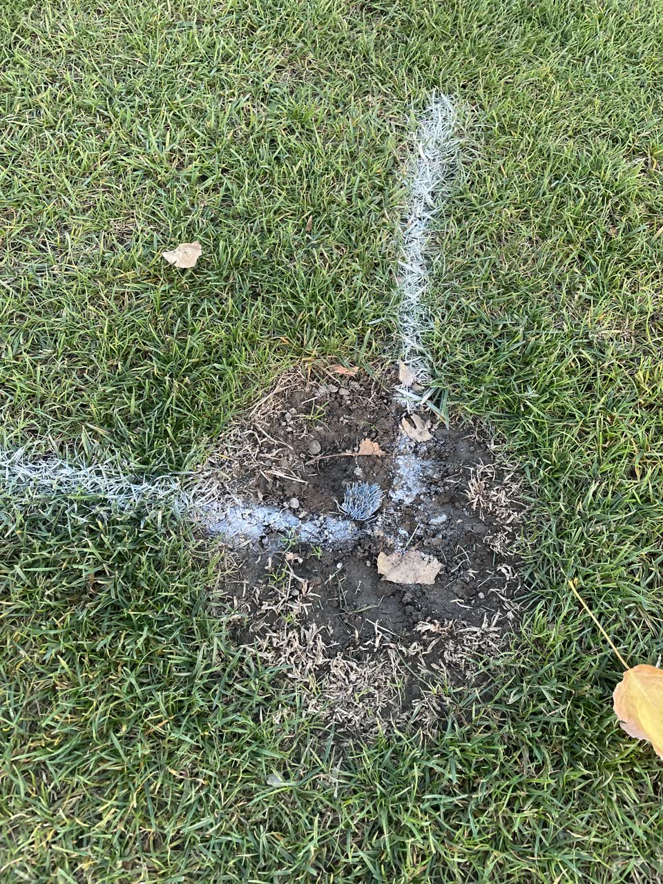 The photograph attached to this parks report