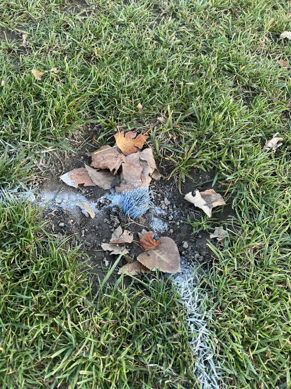 The photograph attached to this parks report