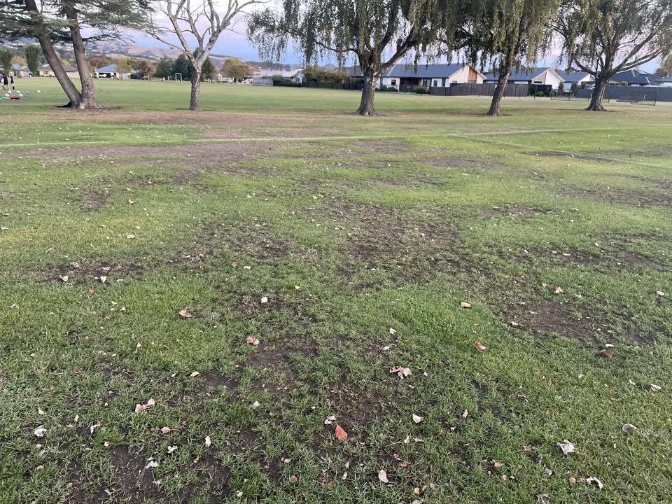 The photograph attached to this parks report