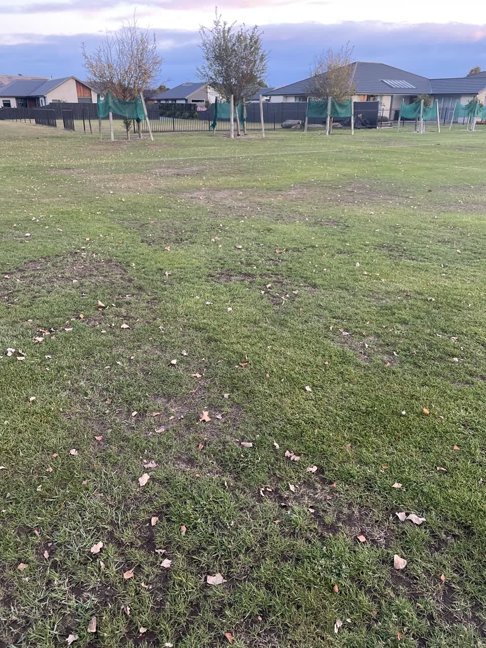 The photograph attached to this parks report