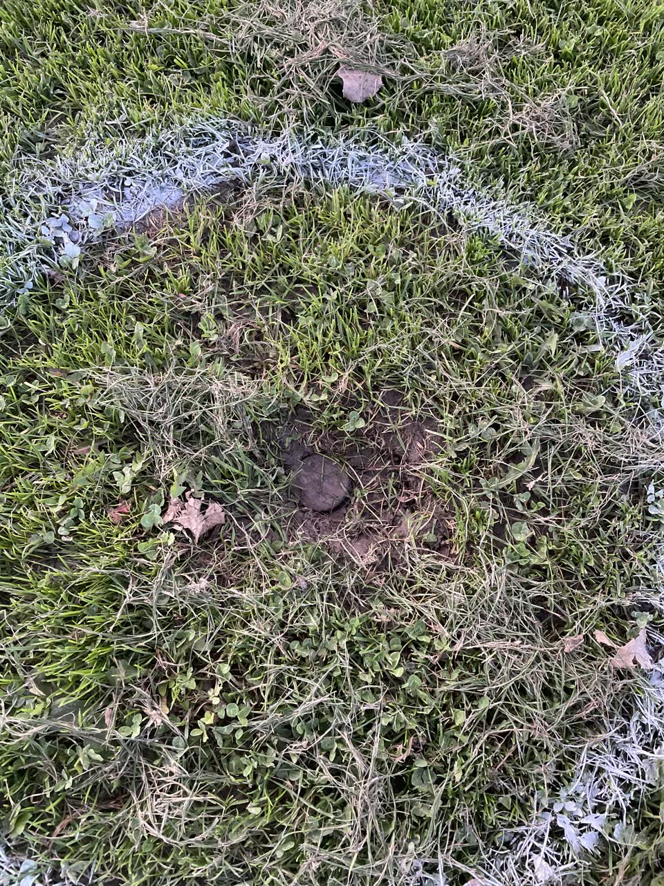 The photograph attached to this parks report
