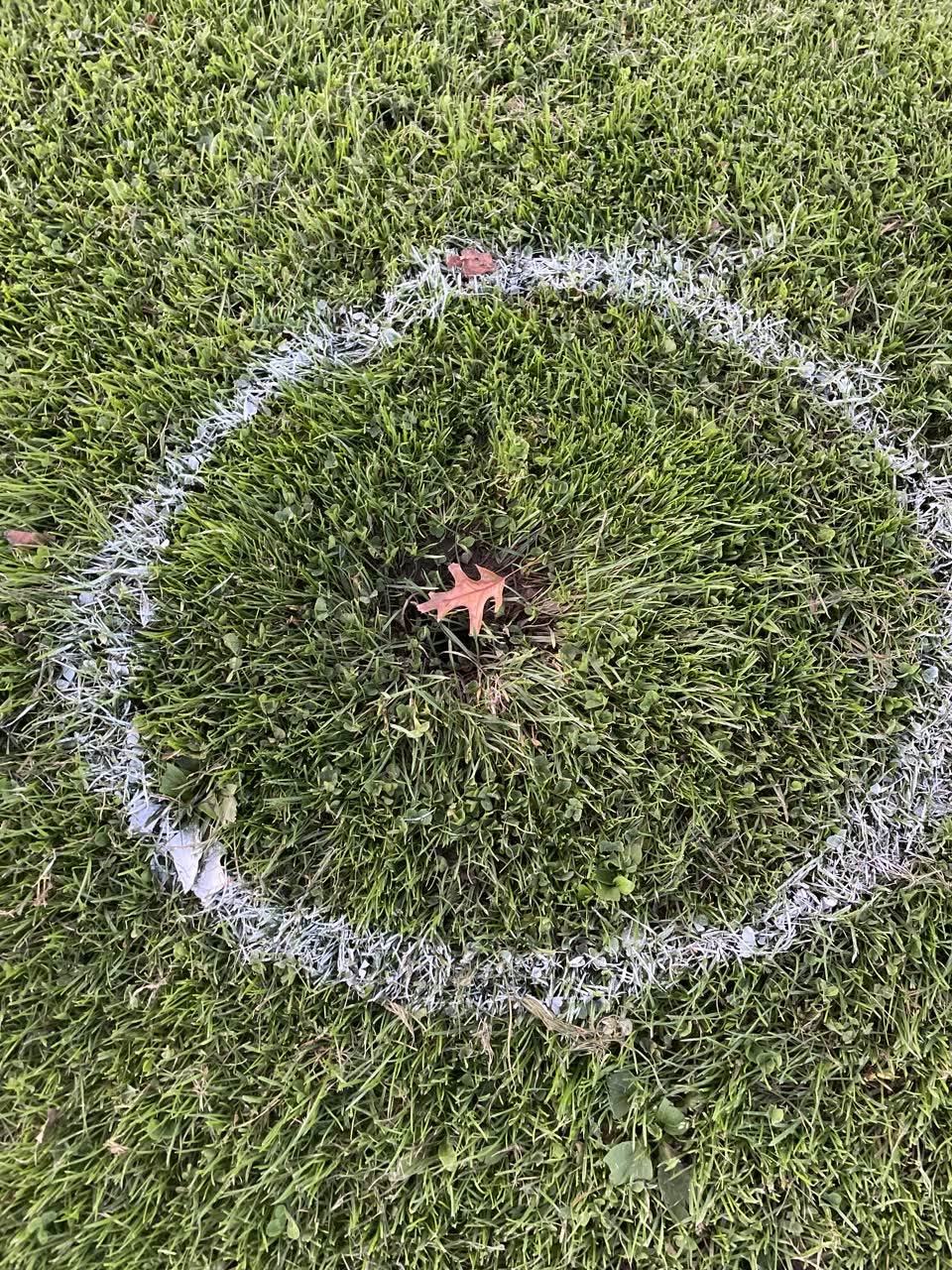 The photograph attached to this parks report