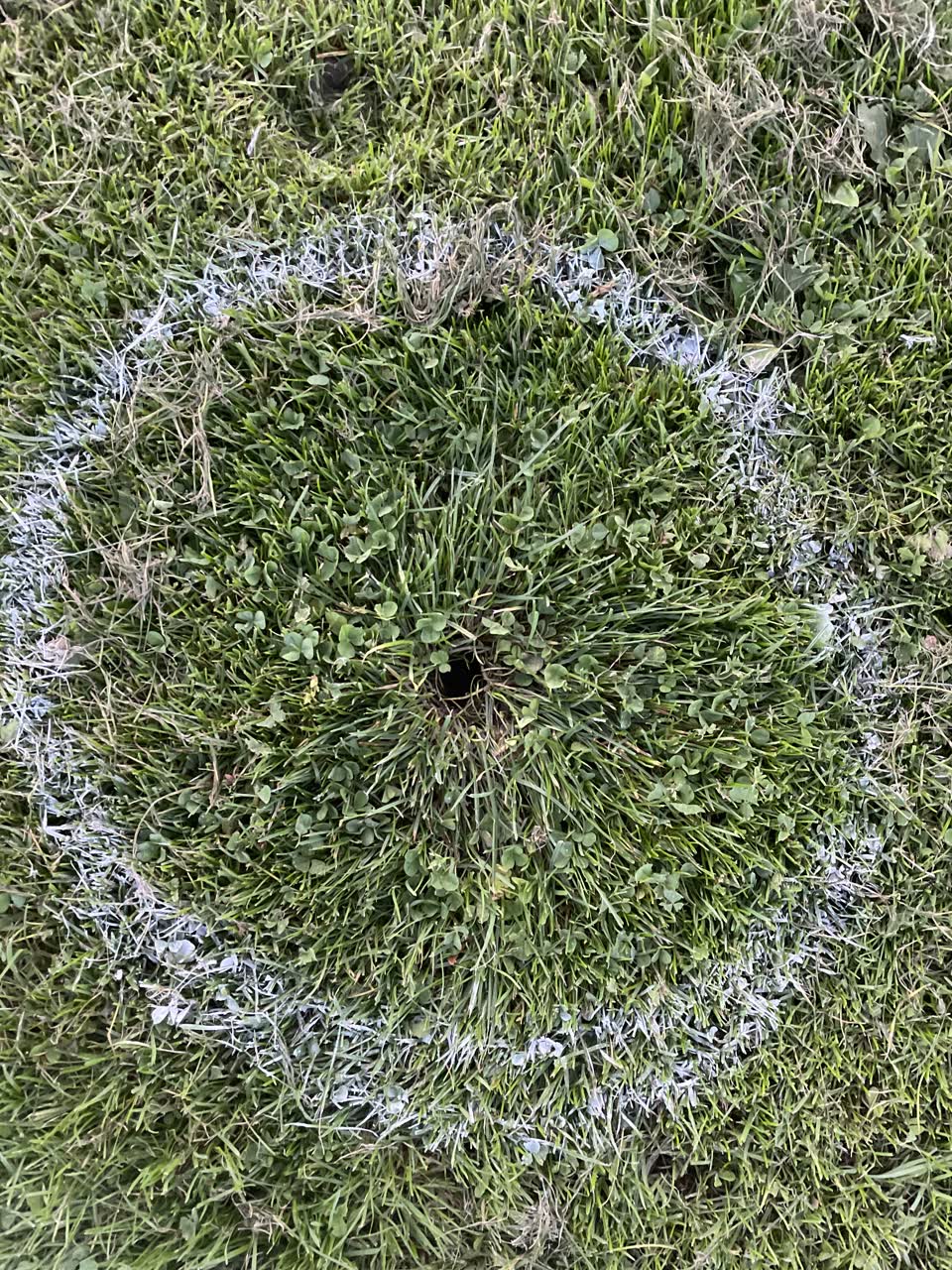 The photograph attached to this parks report