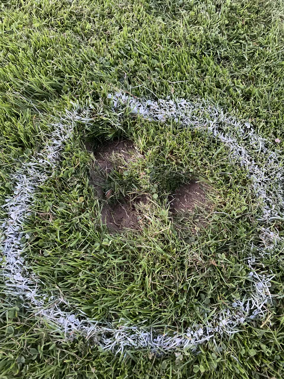 The photograph attached to this parks report