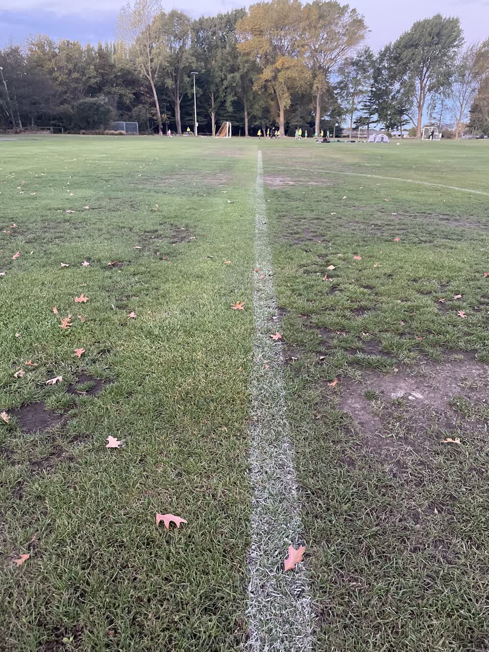 The photograph attached to this parks report