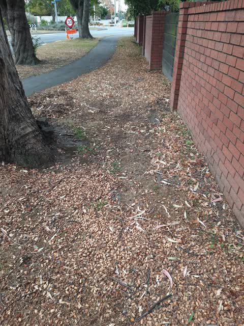 Parks — a report photo