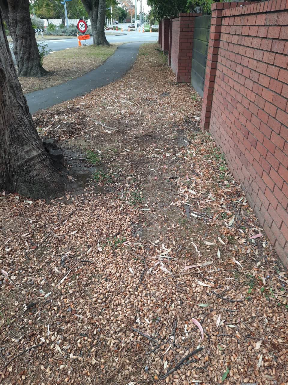 The photograph attached to this parks report