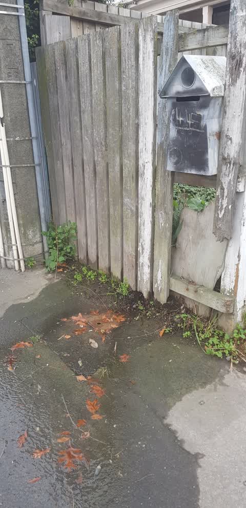 Water Leak, a report photo