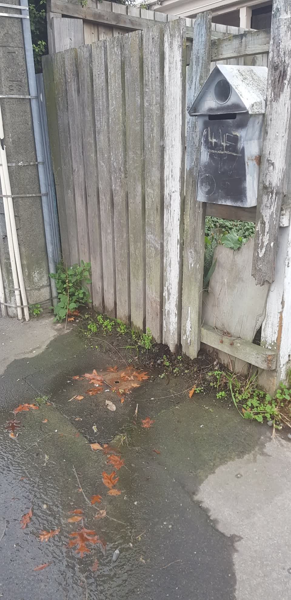 The photograph attached to this water leak report