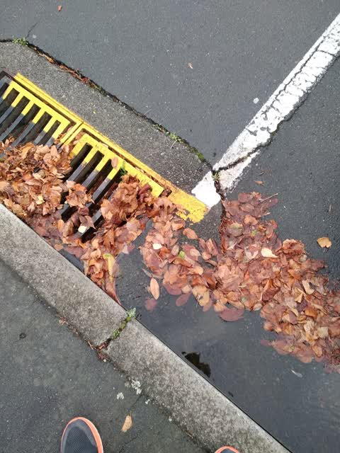 Wastewater/Stormwater, a report photo
