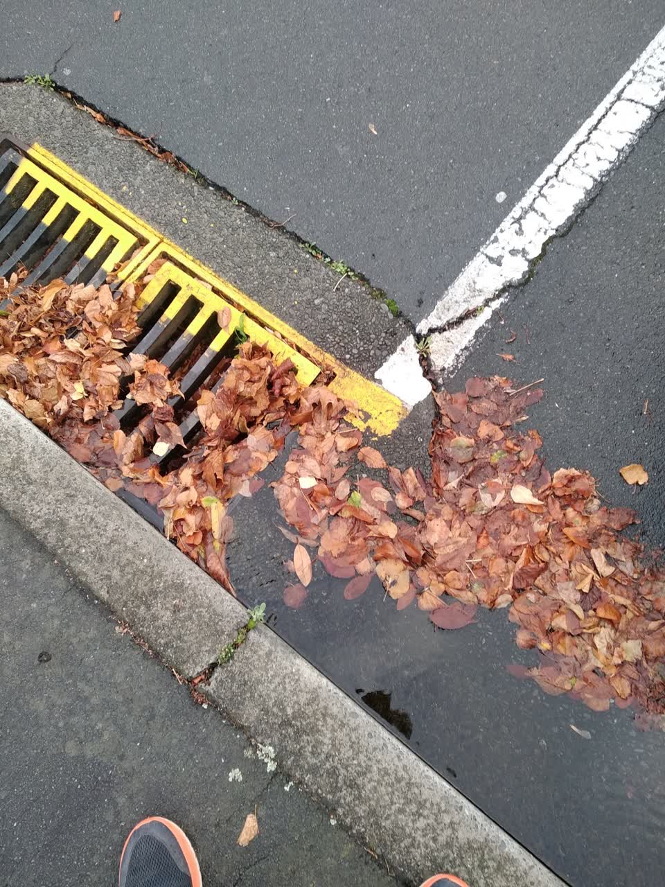 The photograph attached to this wastewater/stormwater report