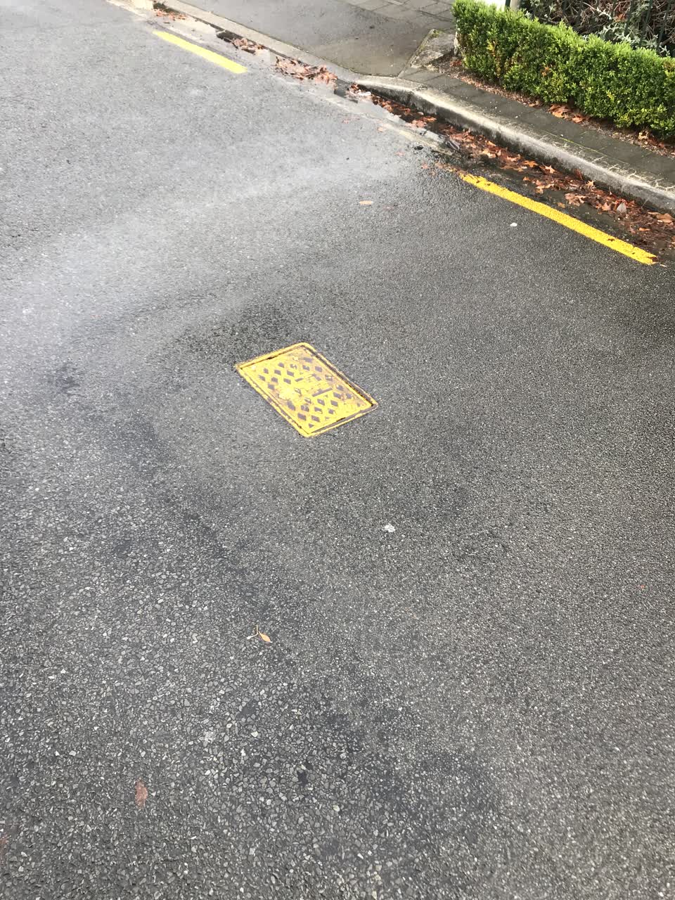 The photograph attached to this water leak report