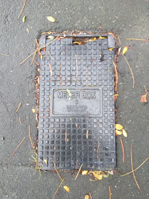Roading/Streets, a report photo