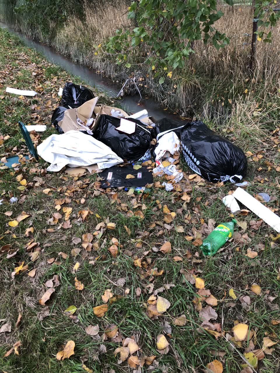 The photograph attached to this rubbish/recycling report
