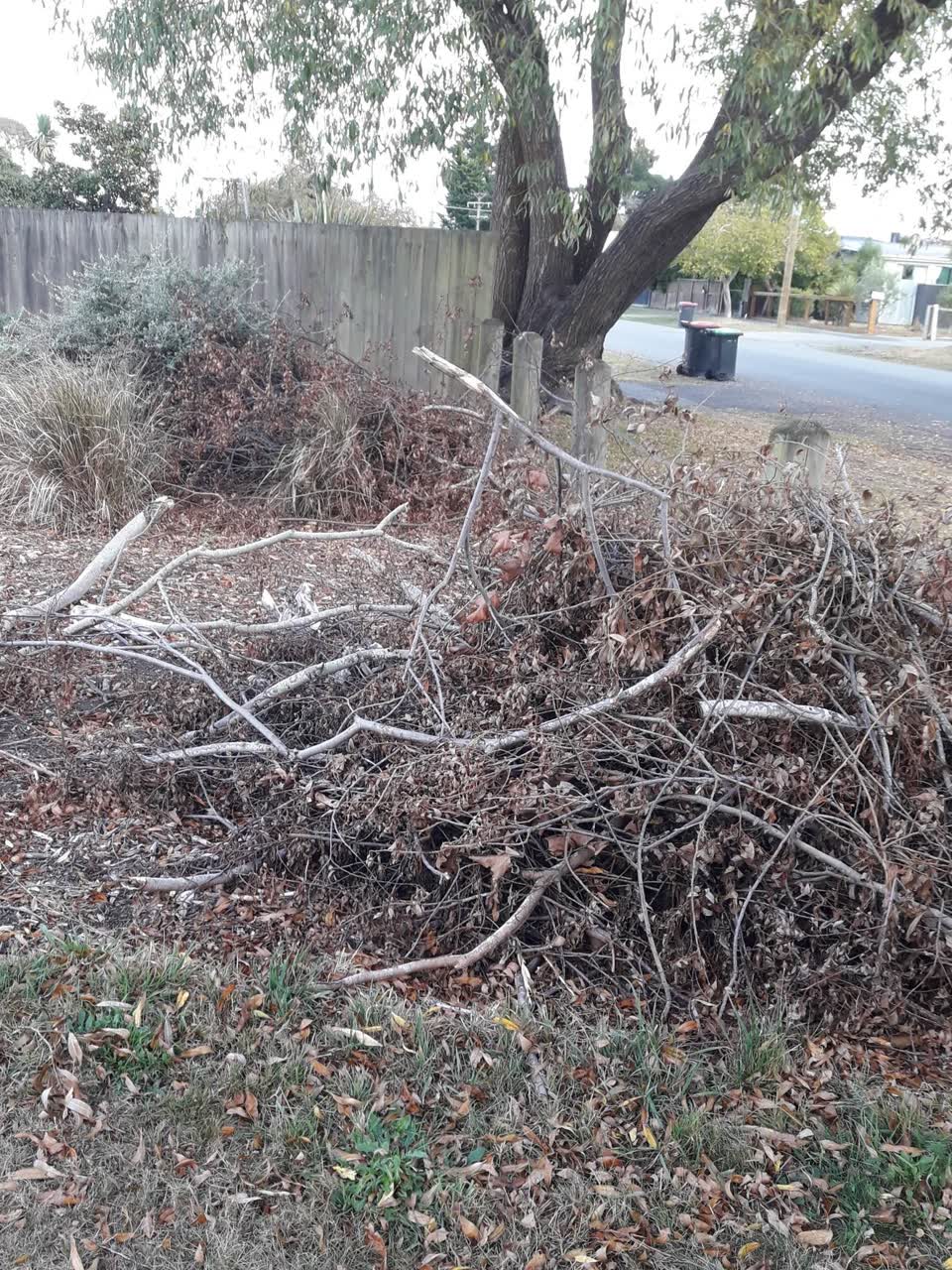 The photograph attached to this parks report