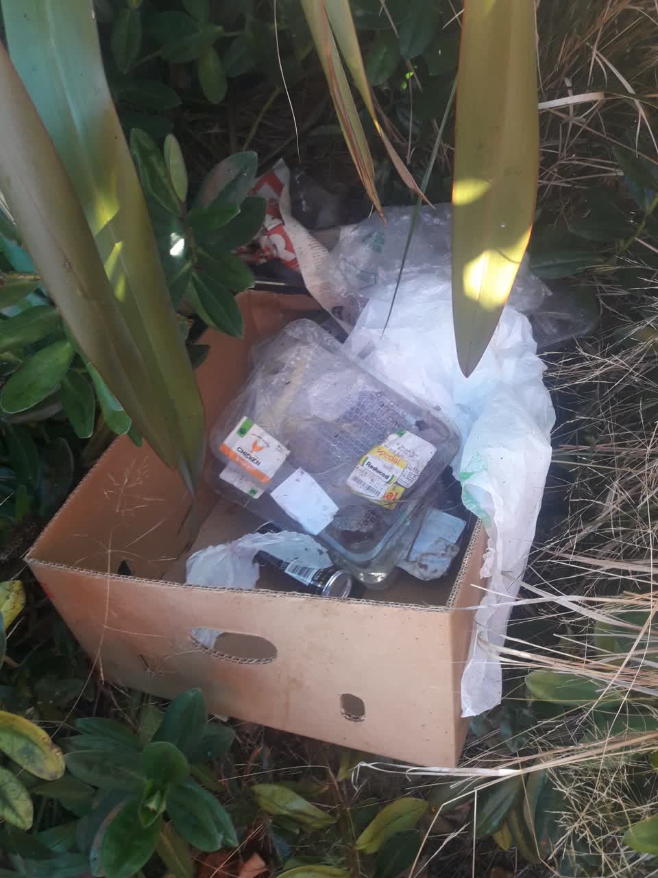 The photograph attached to this rubbish/recycling report