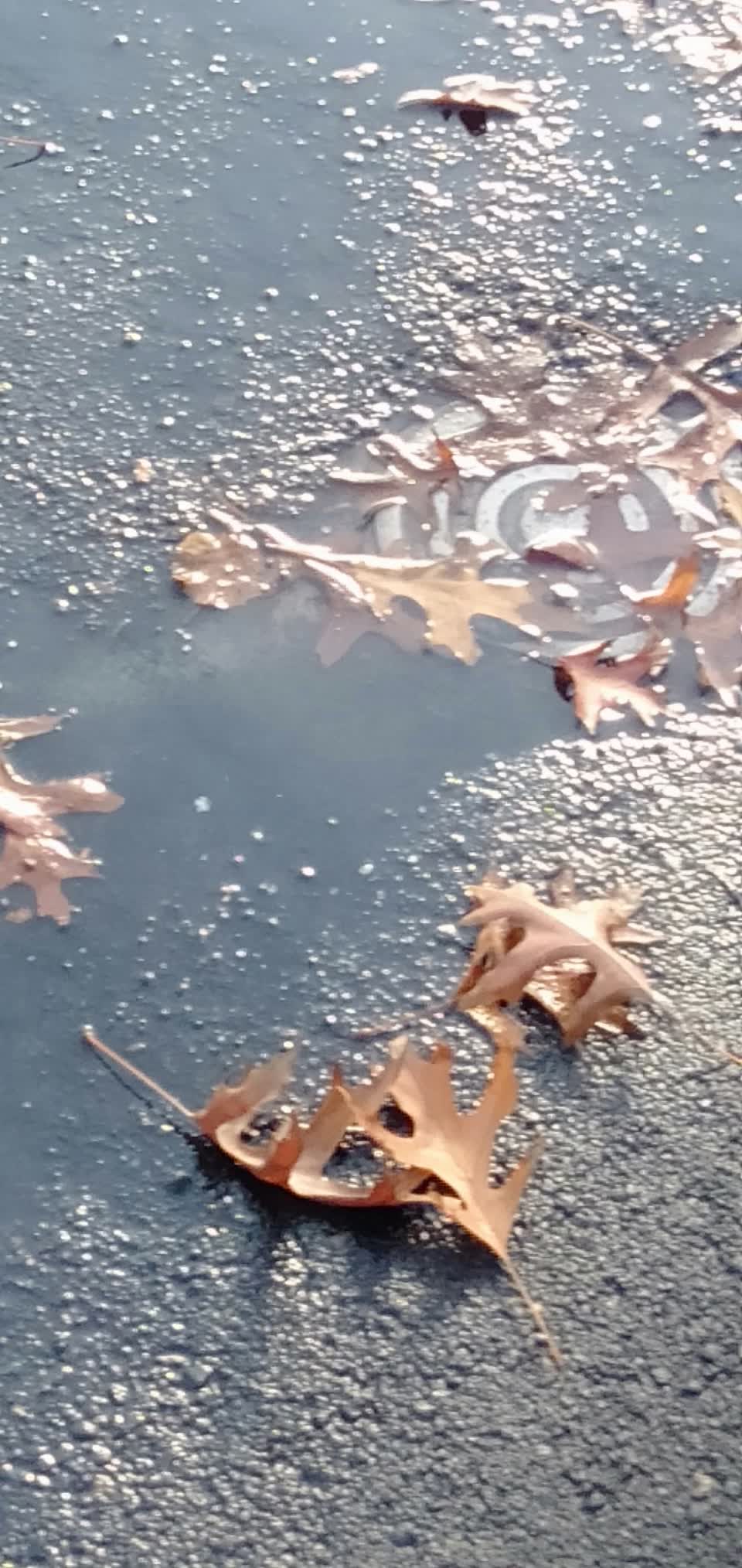The photograph attached to this water leak report