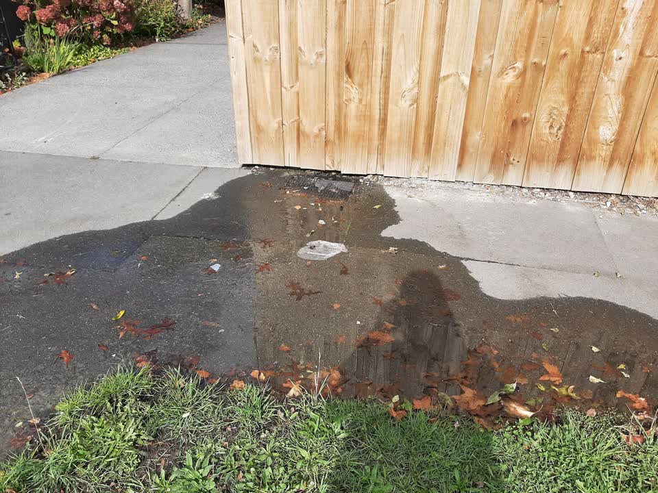 The photograph attached to this water leak report