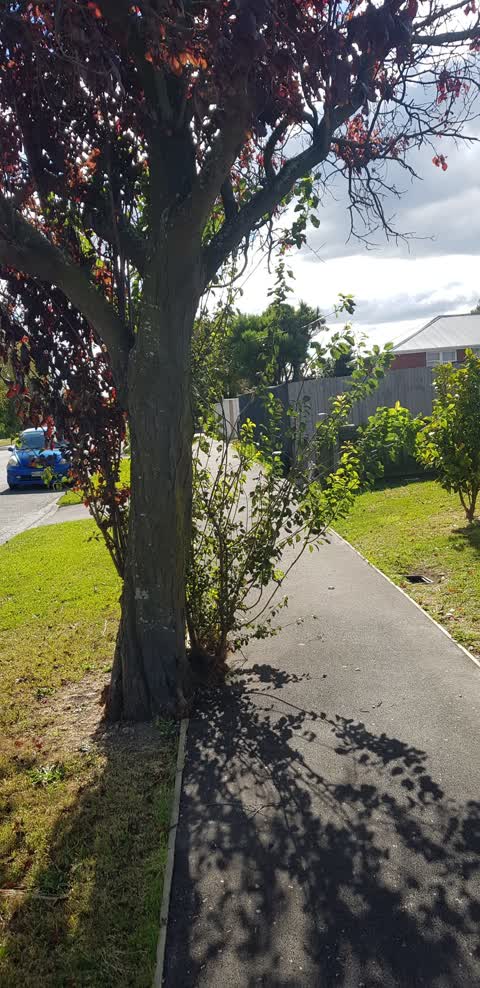 Roading/Streets, a report photo
