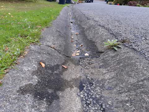 Water Leak, a report photo