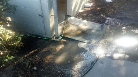 Water Supply, a report photo
