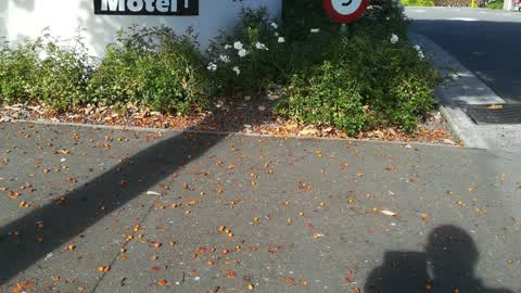 Roading/Streets, a report photo