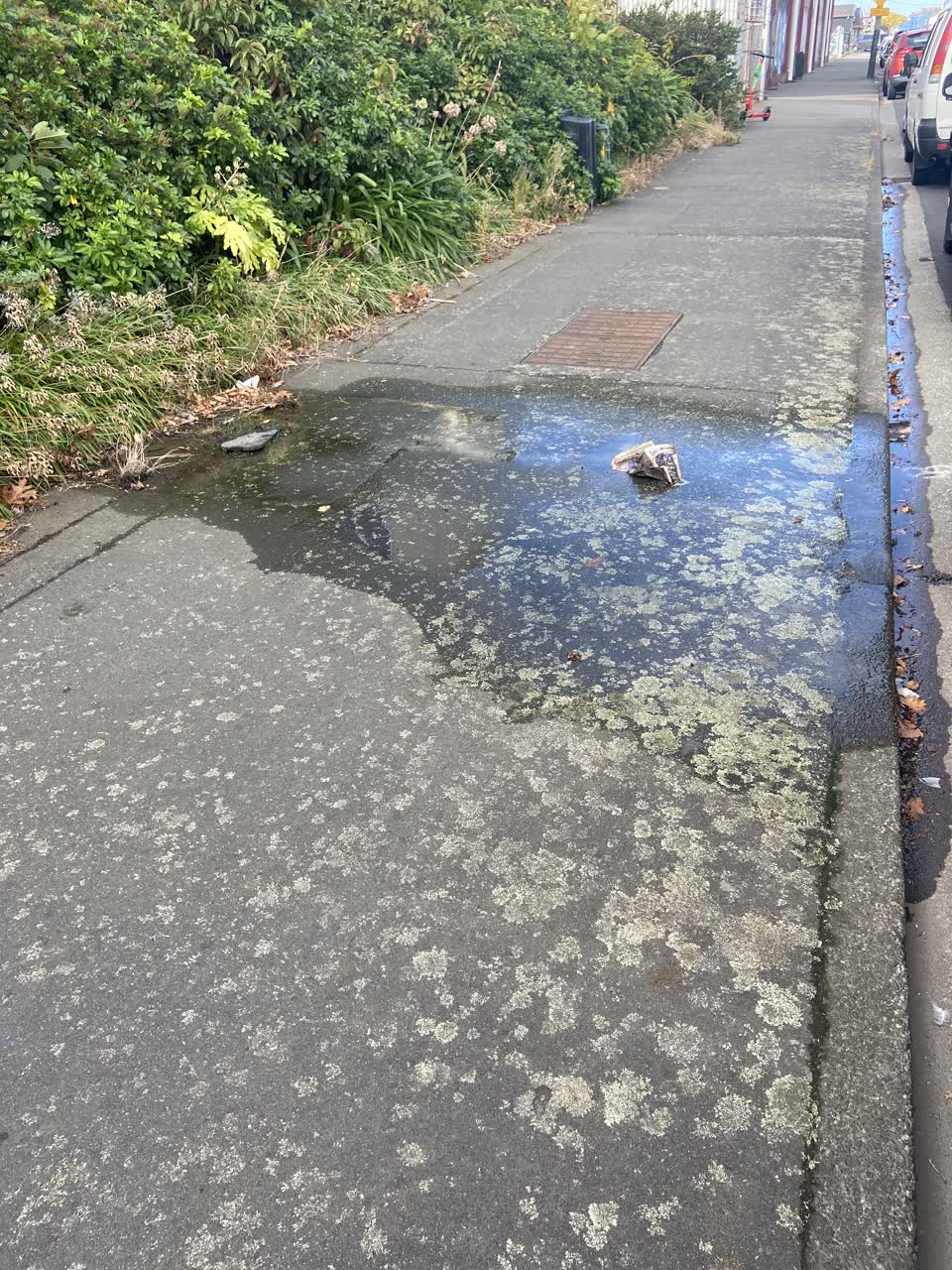 The photograph attached to this water leak report