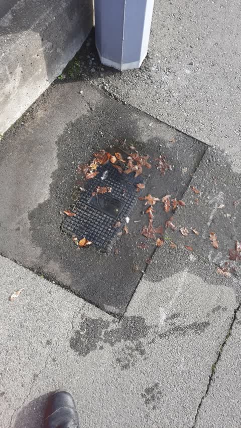 Water Leak, a report photo