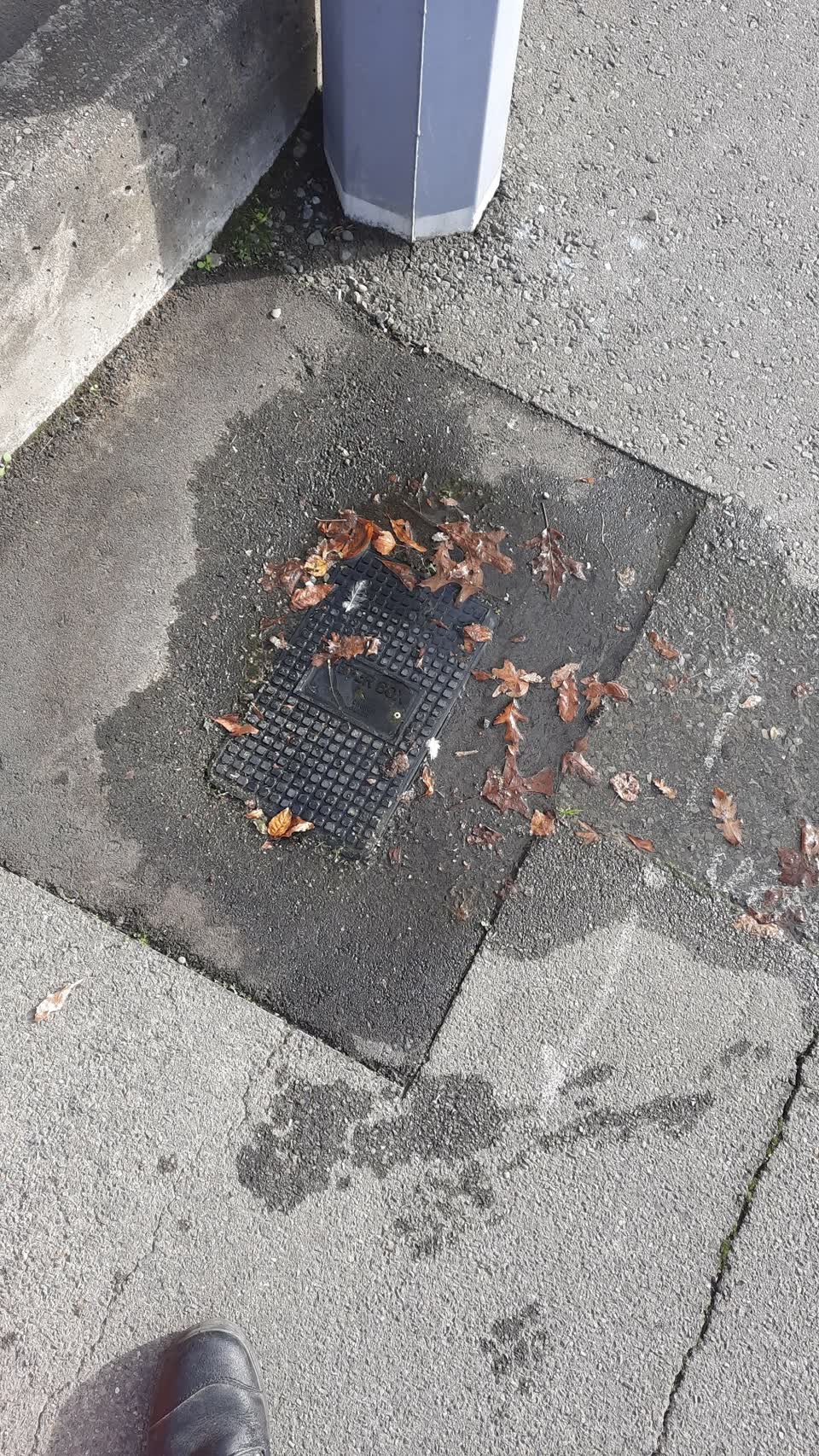 The photograph attached to this water leak report